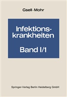 Dionyz Blaskovic, H. E. Bock, B. Briolet, G. Fanconi, W. D. Germer, E. Gibbels... - Handbuch der inneren Medizin: Infektionskrankheiten