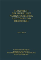 Fischer, W Fischer, W. Fischer, Gerlach, W Gerlach, W. Gerlach... - Kopfspeicheldrüsen. Bauchspeicheldrüse. Gallenblase und Gallenwege