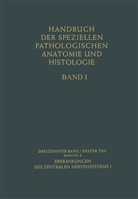 G. Bodechtel - Nervensystem - Erkrankungen des Zentralen Nervensystems I. Tl.-Bd.1/A