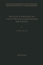 U Ruge, U. Ruge - Übungen zur Wachstums- und Entwicklungsphysiologie der Pflanze