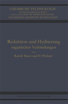 Rudol Bauer, Rudolf Bauer, Heinrich Wieland - Reduktion und Hydrierung Organischer Verbindungen