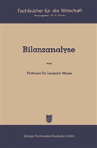 Leopold Mayer - Bilanzanalyse