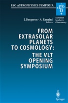 Jacqueline Bergeron, Bernard Fort et al, Alvi Renzini, Alvio Renzini - From Extrasolar Planets to Cosmology: The VLT Opening Symposium
