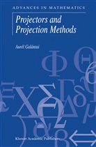 Aurel Galantai, Aurél Galántai - Projectors and Projection Methods