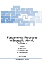 J. S. Briggs, J.S. Briggs, B Kleinpoppen, B. Kleinpoppen, H. O. Lutz, Hans Lutz... - Fundamental Processes in Energetic Atomic Collisions
