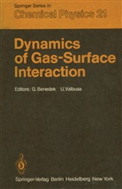 Giorgi Benedek, Giorgio Benedek, Valbusa, Valbusa, U. Valbusa - Dynamics of Gas-Surface Interaction