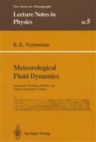 Radyadour K Zeytounian, Radyadour K. Zeytounian - Meteorological Fluid Dynamics