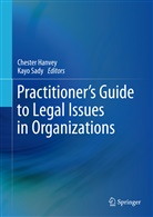 Cheste Hanvey, Chester Hanvey, Sady, Sady, Kayo Sady - Practitioner's Guide to Legal Issues in Organizations