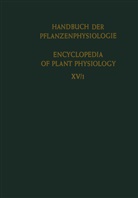 Lang, A Lang, A. Lang - Differenzierung und Entwicklung / Differentiation and Development, 5 Teile