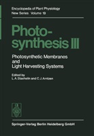 Andrew Staehelin, L Andrew Staehelin, Charles J. Arntzen, J Arntzen, J Arntzen, L. Andrew Staehelin - Photosynthesis III
