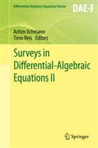 Achi Ilchmann, Achim Ilchmann, Reis, Reis, Timo Reis - Surveys in Differential-Algebraic Equations II