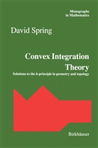 Davi Spring, David Spring - Convex Integration Theory