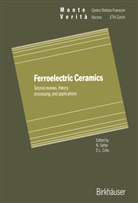 Coll, Colla, Colla, Sette, Setter, Setter - Ferroelectric Ceramics
