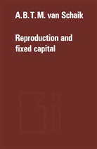 A B T M van Schaik, A. B. T. M. Van Schaik, A.B.T.M. van Schaik - Reproduction and fixed capital