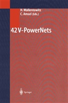 Amsel, Amsel, Christian Amsel, Hennin Wallentowitz, Henning Wallentowitz - 42 V-PowerNets