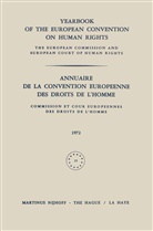 Council of Europe Staff, Council of Europe Staff, Council of Europe/Conseil de L'Europe - Yearbook of the European Convention on Human Rights / Annuaire de la Convention Europeenne des Droits de L'Homme