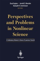 Jerrol E Marsden, Jerrold E Marsden, Ehud Kaplan, J. E. Marsden, Jerrold E. Marsden, Katepalli R Sreenivasan... - Perspectives and Problems in Nonlinear Science