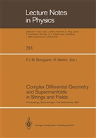 Petrus J. M. Bongaarts, Petrus J.M. Bongaarts, Petru J M Bongaarts, Petrus J M Bongaarts, Martini, Martini... - Complex Differential Geometry and Supermanifolds in Strings and Fields