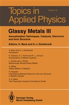 Han Beck, Hans Beck, Güntherodt, Hans-Joachim Güntherodt - Glassy Metals III