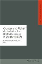 Burkart Lutz, Rud Schmidt, Rudi Schmidt - Chancen und Risiken der industriellen Restrukturierung in Ostdeutschland