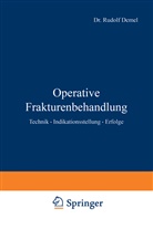 Rudolf Demel - Operative Frakturenbehandlung