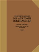 Dr Friedrich Merkel, Dr. Friedrich Merkel, Friedrich Merkel - Peripherische Nerven, Gefäßsystem