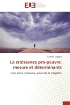 Caroline Cleppert, Cleppert-c - La croissance pro pauvre: mesure
