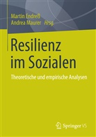 Marti Endress, Martin Endreß, Marti Endress (Dr.), Martin Endress (Dr.), Maurer, Andrea Maurer... - Resilienz im Sozialen
