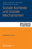 Jürge Friedrichs, Jürgen Friedrichs, Nonnenmacher, Nonnenmacher, Alexandra Nonnenmacher - Soziale Kontexte und Soziale Mechanismen