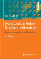 Karl-Heinz Pfeffer - Lösungsbuch zur Analysis für technische Oberschulen