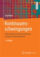 Jörg Wauer - Kontinuumsschwingungen