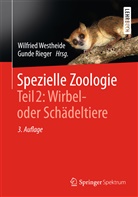 Reinhard Rieger, Wilfrie Westheide, Wilfried Westheide, Rieger, Rieger, Gunde Rieger... - Spezielle Zoologie - 2: Wirbeltiere- oder Schädeltiere