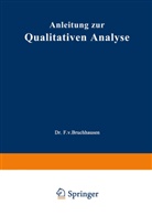 Johannes Gadamer, Erns Schmidt, Ernst Schmidt, Friedrich von Bruchhausen - Anleitung zur Qualitativen Analyse