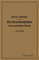 Arthu Brand, Arthur Brand, Leo Schnitzler - Die Grundbuchsachen in der gerichtlichen Praxis einschließlich Aufwertung der Grundstückspfandrechte