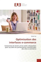 Sylvain Lys, Lys-S - Optimisation des interfaces e