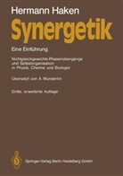 Hermann Haken - Synergetik