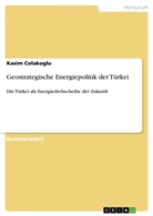 Kasim Colakoglu - Geostrategische Energiepolitik der Türkei
