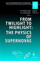 Wolfgan Hillebrandt, Wolfgang Hillebrandt, Leibundgut, Leibundgut, Bruno Leibundgut - From Twilight to Highlight: The Physics of Supernovae