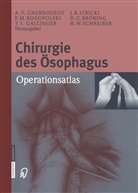 Pavel M. Bogopolski, Dieter C. Bröring, Alexander F. Chernousov, Yuzi I. Gallinger, Jacob R. Izbicki, Pavel M Bogopolski u a... - Chirurgie des Ösophagus
