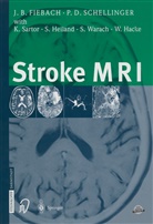 Joche Fiebach, Jochen Fiebach, Peter Schellinger - Stroke MRI