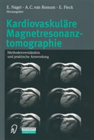 C van Rossum, A C van Rossum, E Fleck, E. Fleck, E. Nagel, A. C. Van Rossum... - Kardiovaskuläre Magnetresonanztomographie