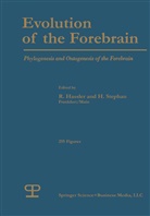 R Hassler, R G Hassler, R. G. Hassler, R.G. Hassler, Kenneth A Loparo, Kenneth A. Loparo... - Evolution of the Forebrain