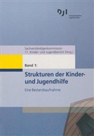 Sachverständigenkom 11  Kinder- und Jugendbericht, Sachverständigenkommission 11. Kinder- und Jugendbericht - Materialien zum 11. Kinder- und Jugendbericht - Bd.1: Strukturen der Kinder- und Jugendhilfe