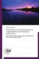 Stéphane Gasparini, Gasparini-s - Production et alimentation de