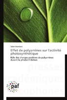 Saber Hamdani, Hamdani-s - Effet de polyamines sur l