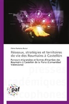Elena Ramona Bucur, Bucur-e - Reseaux, strategies et