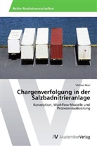 Michael Beer - Chargenverfolgung in der Salzbadnitrieranlage