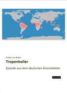 Frieda von Bülow, Frieda von Bülow - Tropenkoller