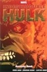Mark Waid, Clay Mann - Indestructible Hulk