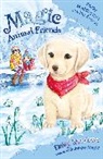 Daisy Meadows - Magic Animal Friends: Poppy Muddlepup's Daring Rescue